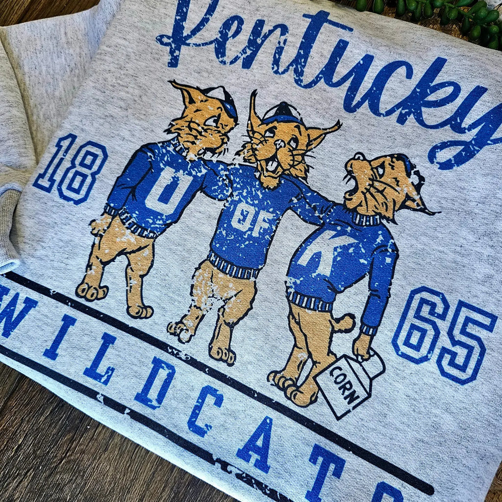 Vintage Kentucky Wildcats Crewneck Clothing Peacocks & Pearls Gray S