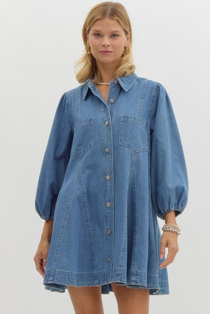 The Moroney Denim Dress Clothing Peacocks & Pearls